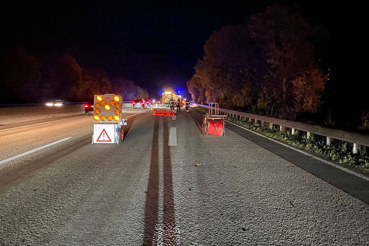 A61 Gau-Bickelheim – Fohlen springt auf Fahrbahn