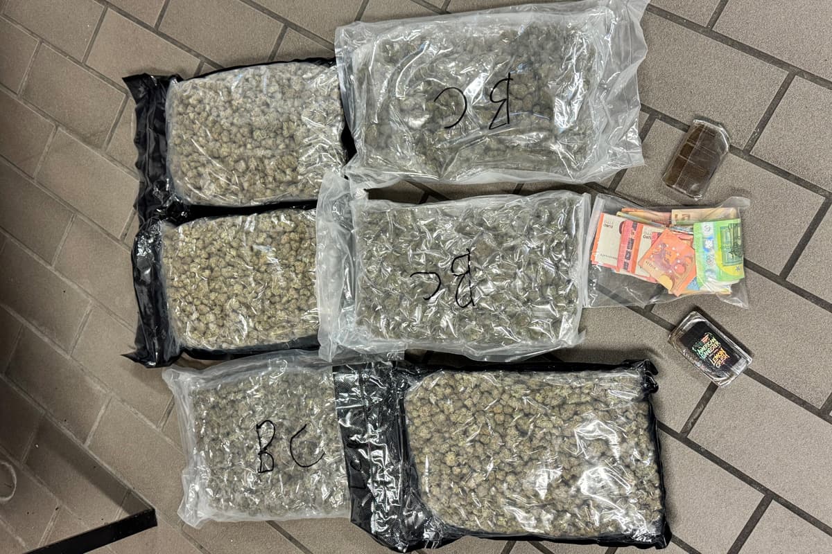 Wuppertal NW – Drogen bei Verkehrskontrolle entdeckt